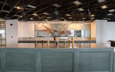 A modern kitchen with a central island, pendant lighting, and a decorative plant arrangement.