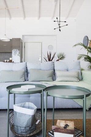 Smart TV, DVD player, books, music library - Seafront house with stunning views close to Athens (Unknown)