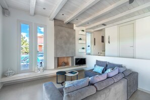 TV connectée, cheminée, lecteur de DVD, livres
