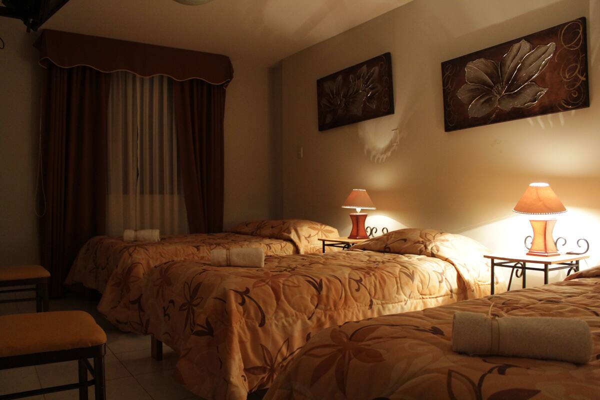 Literie de qualité supérieure, couette en duvet d'oie, Wi-Fi gratuit