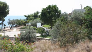A residential area with a basketball court, trees, and a view of the sea.