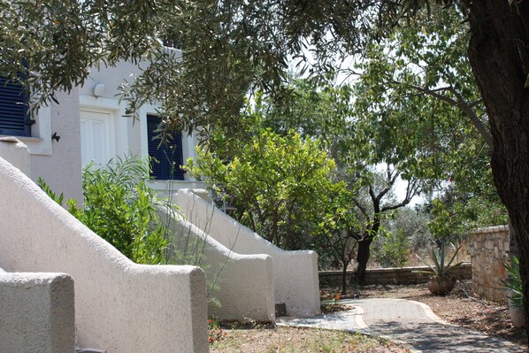 A pathway leading to a white building with blue shutters, surrounded by greenery and a stone wall.