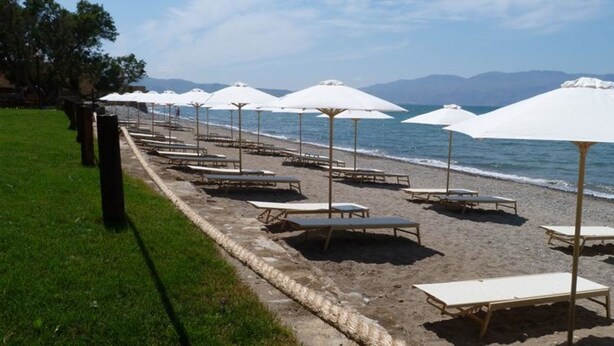 Une plage bordée de rangées de parasols blancs et de chaises longues, alignées le long du rivage.