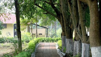 Jardín