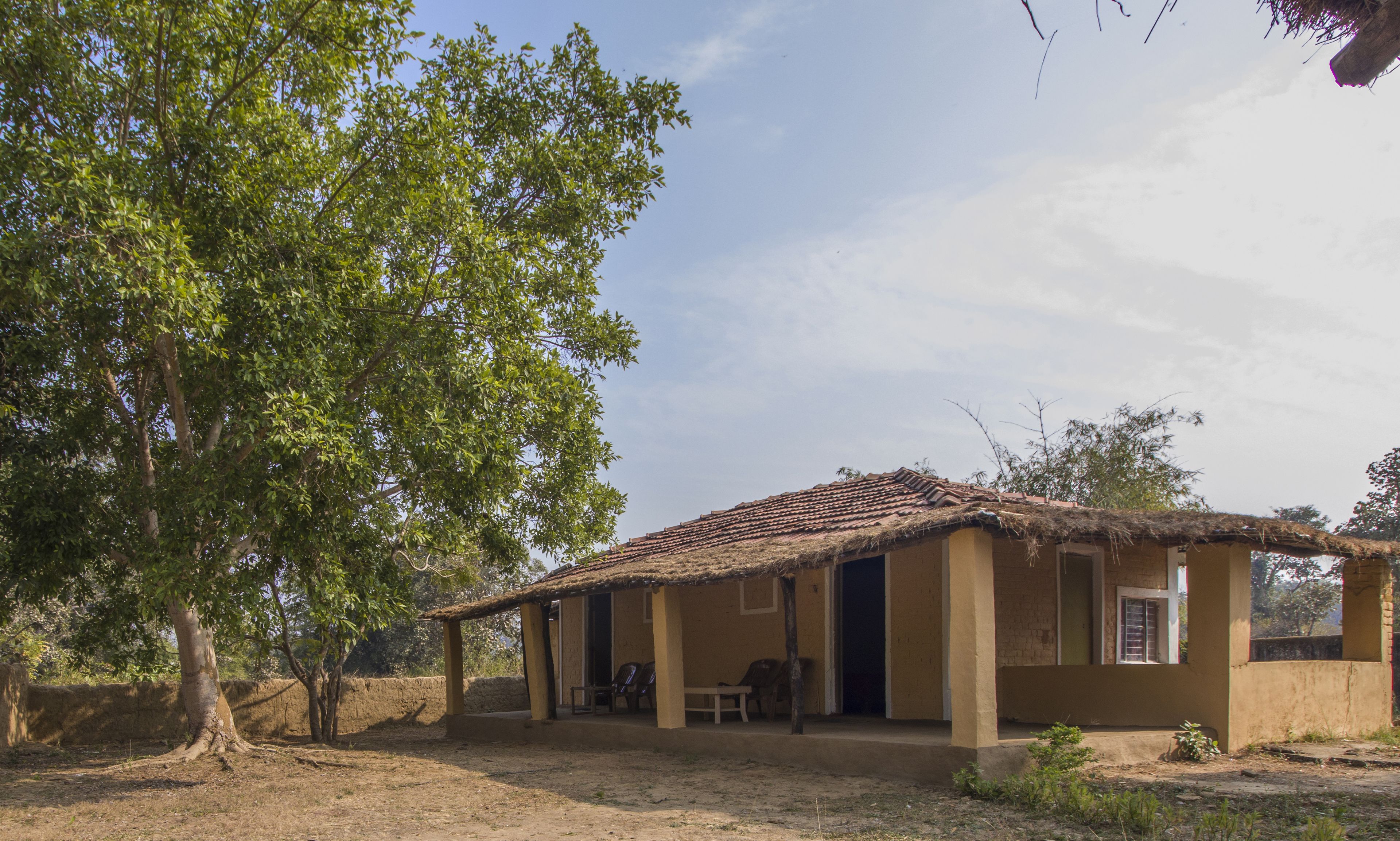 A single-story building with a tiled roof, a porch with chairs, and a large tree in the foreground.