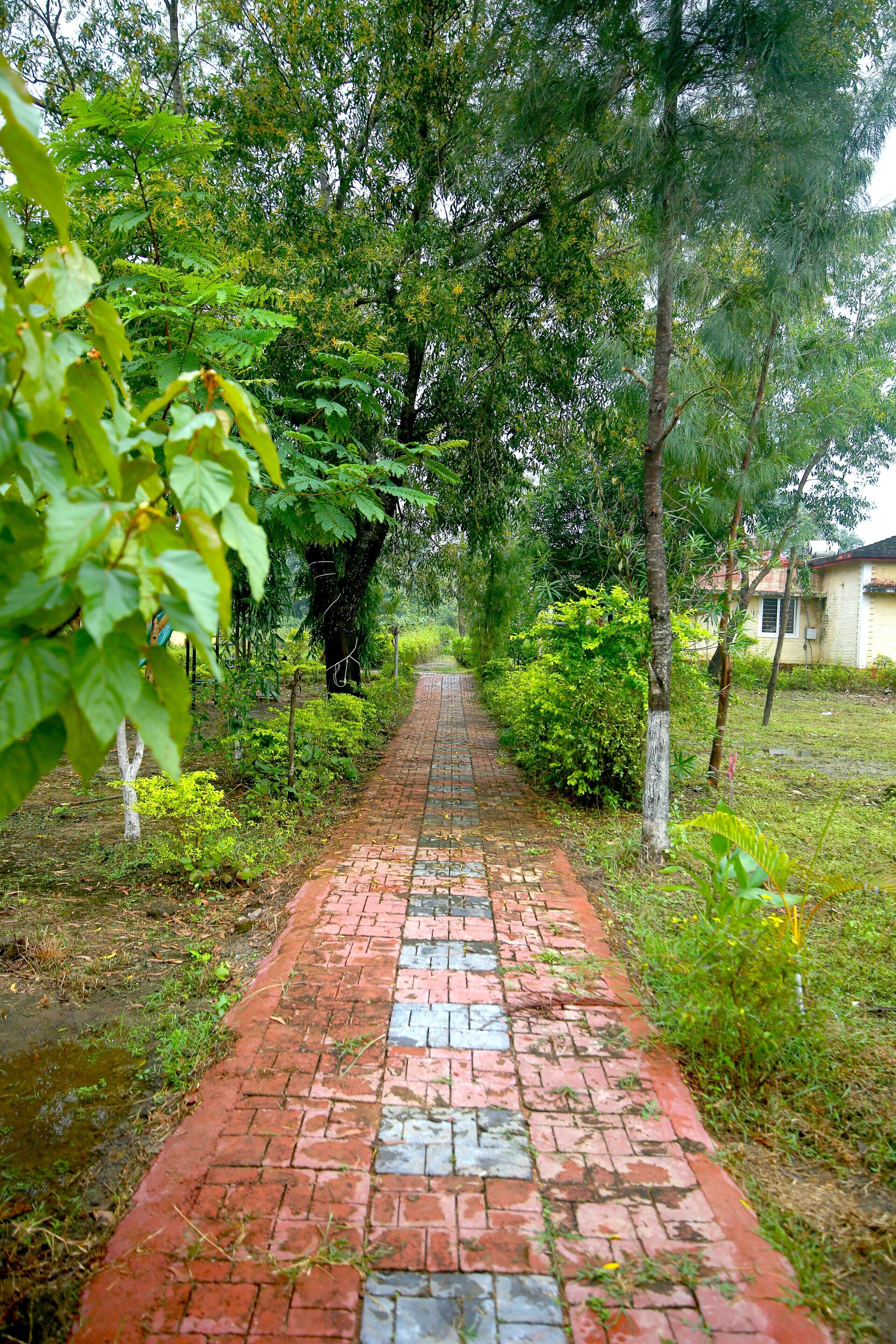 A brick pathway leading through a lush garden with trees and shrubs.