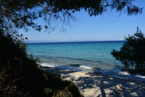 Strand