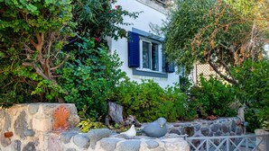 A stone wall with a metal gate, lush greenery, and a building with blue shutters and a tiled roof. - Villa Fea - Beach Front Secluded luxury residence with spectacular sea views (Πέρδικα)