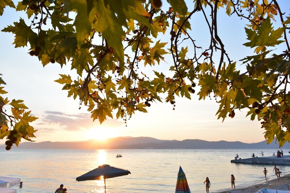 Beach - ELENI'S VILLAGE RELAXATION HOME (Αιδηψός)