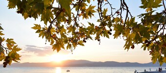 ELENI'S  VILLAGE  RELAXATION  HOME