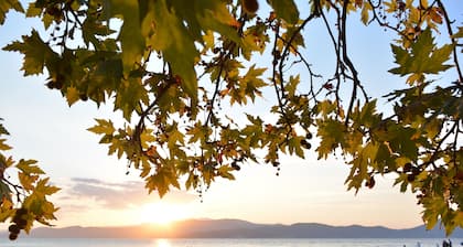 ELENI'S VILLAGE RELAXATION HOME