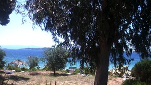 A coastal landscape with a tree in the foreground, a bench, and a view of the sea. - Beachfront family house (Ουρανούπολη)