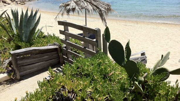 A beach with a wooden bench, a thatched umbrella, and cacti. - Beachfront family house (Ουρανούπολη)