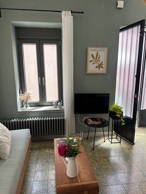 Televisio, kirjoja