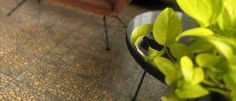 Télévision, livres