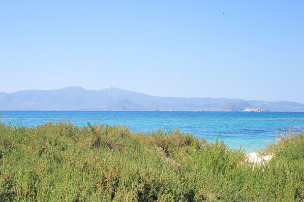 Beach nearby, sun loungers