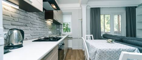 Fridge, oven, dishwasher, cookware/dishes/utensils