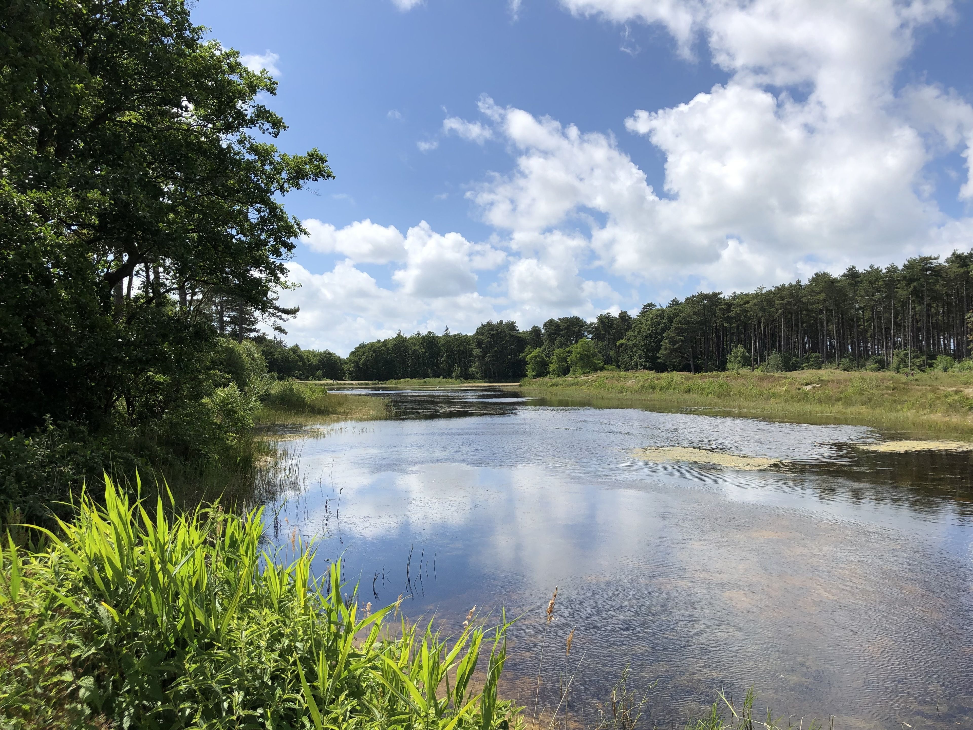 children’s activities