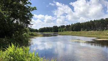 A calm river with dense forest on both sides, clear skies, and a few clouds.