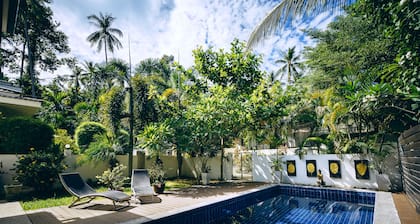 VILLA WHITNEY (private pool)