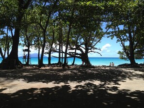 Beach towels - Papaya Guesthouse (Mahé Island)