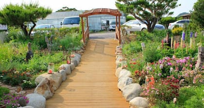 White House on the Hill HayanZip