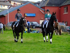 Horse riding - The Westings (Gott)