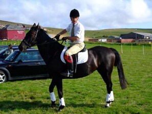Horse riding - The Westings (Gott)