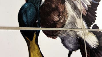 Un pato con pico amarillo y plumas oscuras.