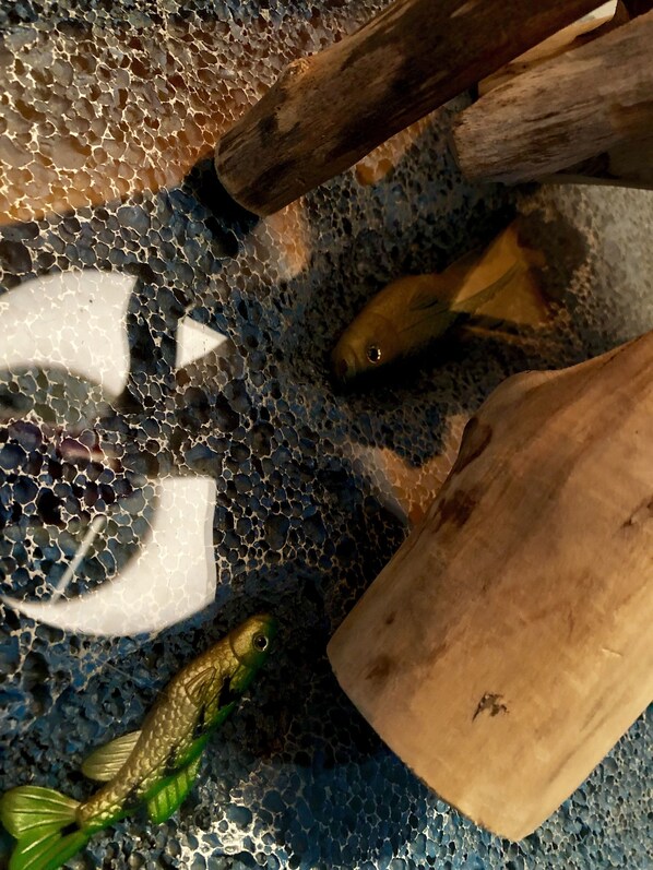 Design-Doppelzimmer (Unter und Über Wasser)