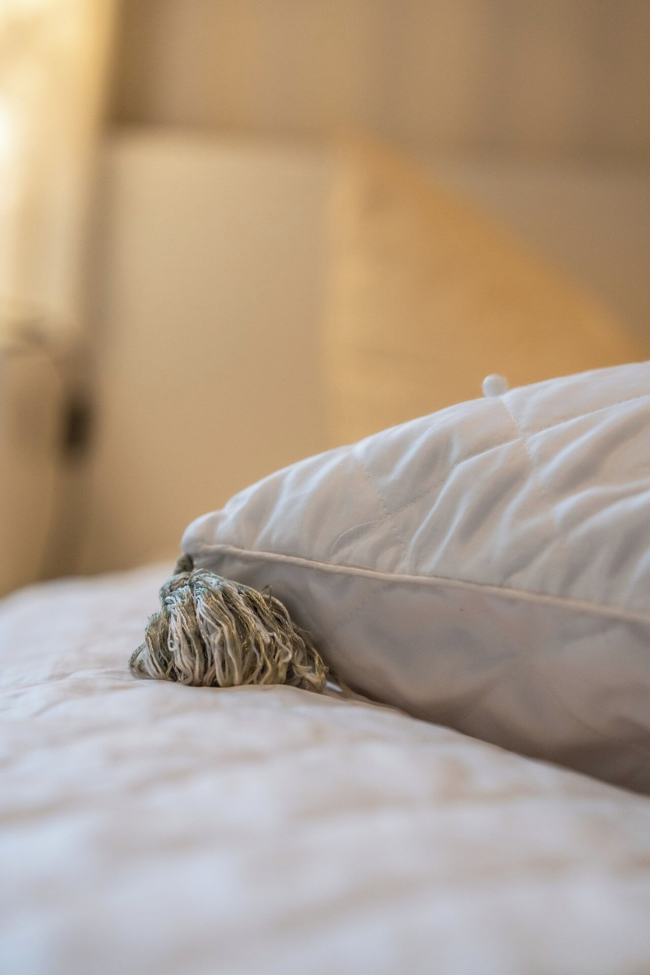 Un lit avec un oreiller blanc et un chien allongé dessus.