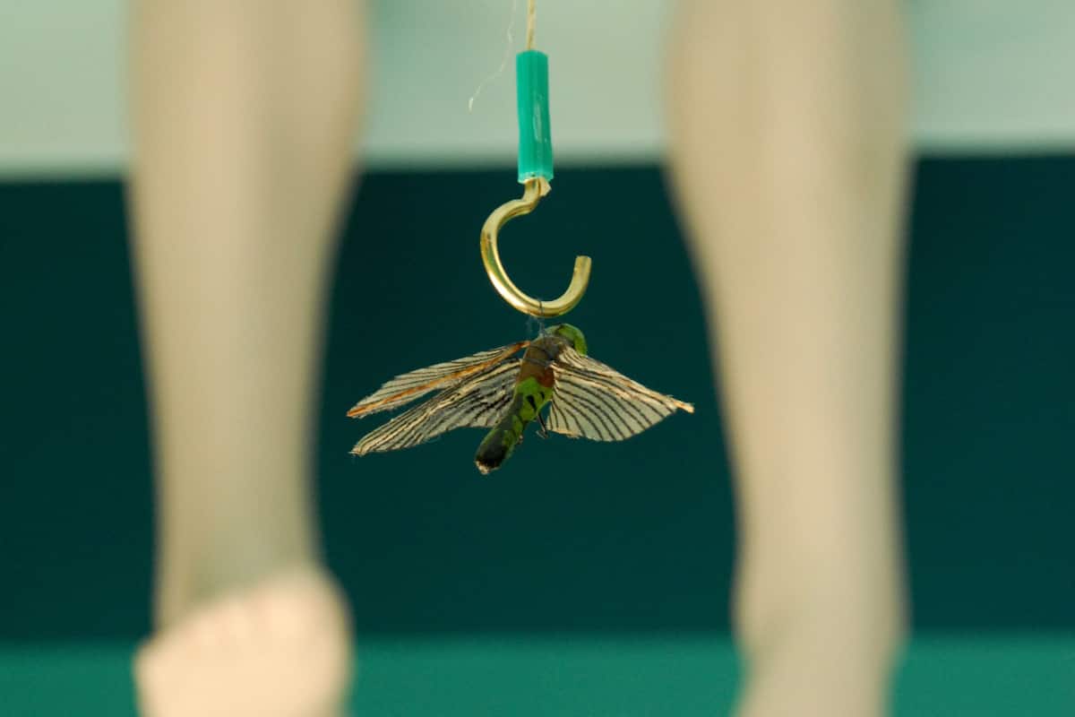 Single Room Under Water - NO Shower | Individually decorated, individually furnished, blackout curtains