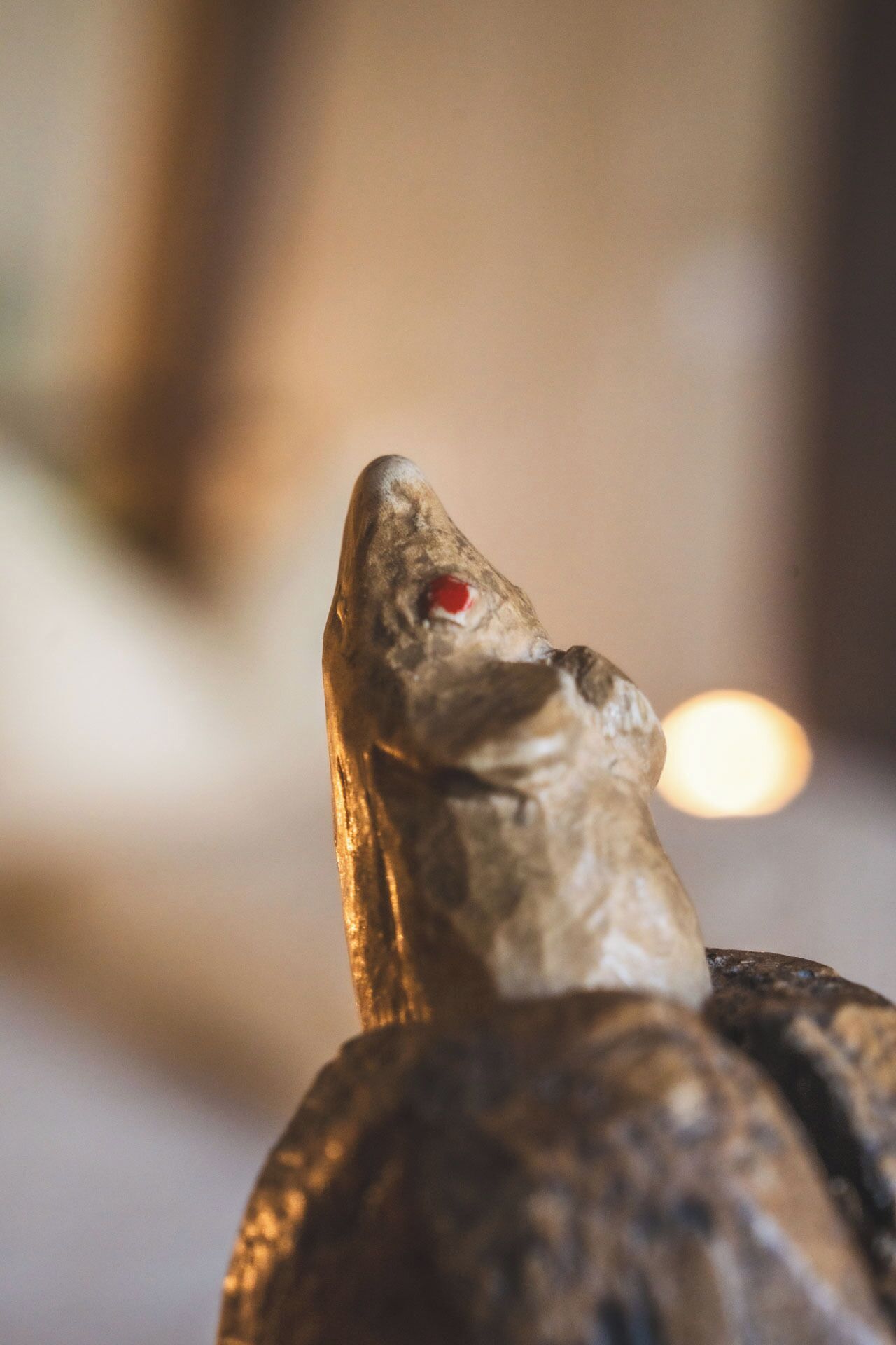 Primer plano de un reptil con piel texturizada y un ojo rojo llamativo.