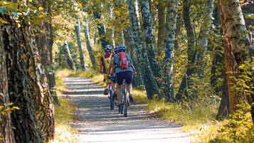A narrow, tree-lined path with cyclists.