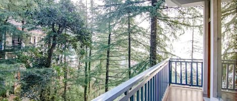 A balcony with a view of dense forest and tall trees.