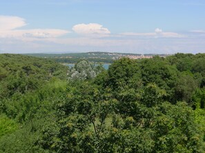 A lush green landscape with dense foliage in the foreground and a distant town with buildings and a church visible across a body of water.