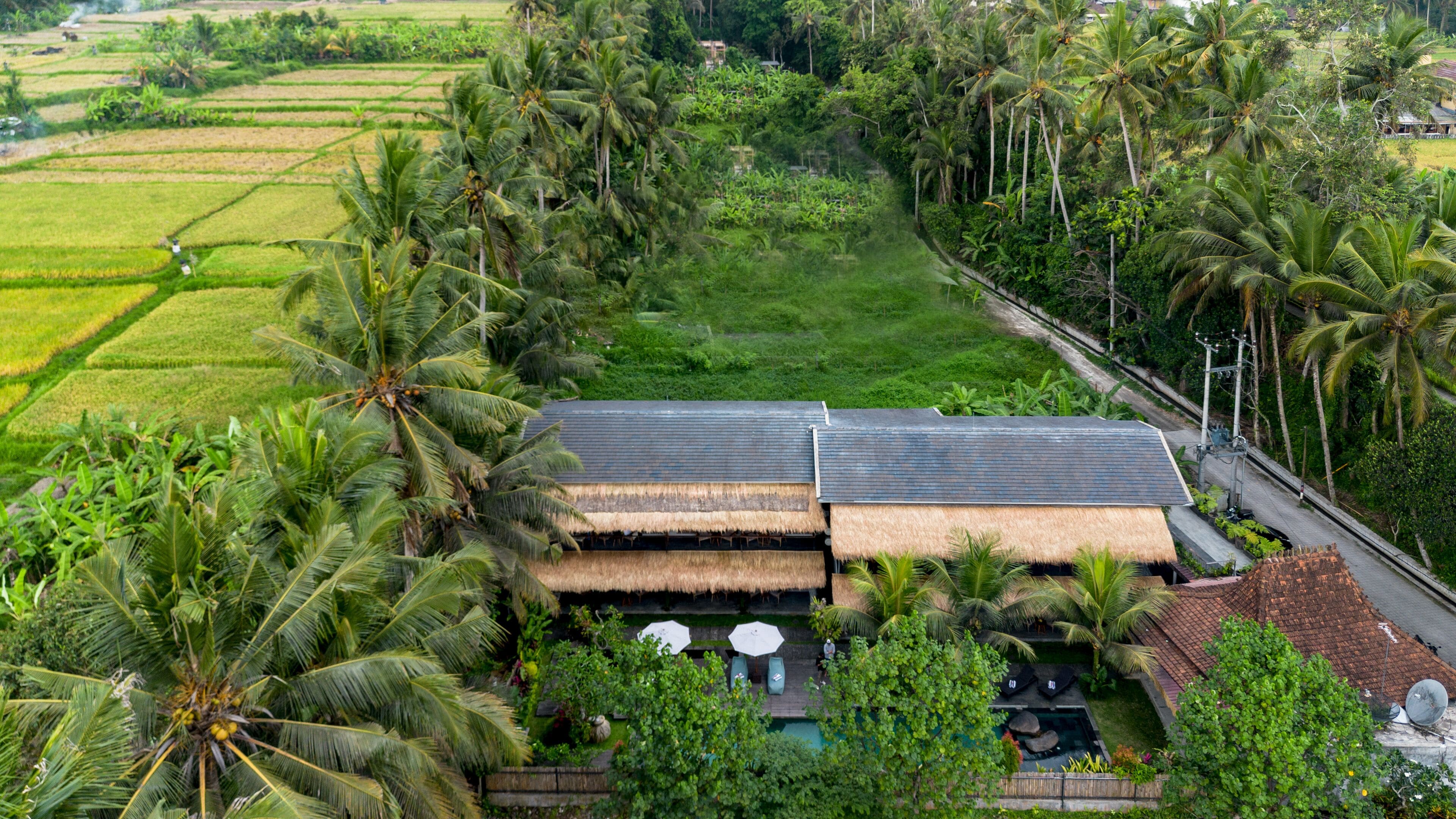 A thatched-roof house with a pool and outdoor seating, surrounded by lush greenery and palm trees.