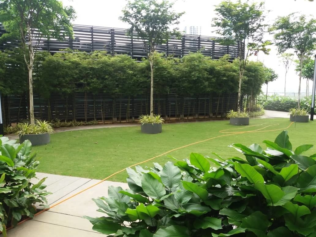 Un jardín ajardinado con un sendero, césped verde y diversas plantas.