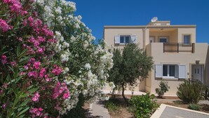 A modern two-story building with a paved pathway, surrounded by flowering trees and shrubs.