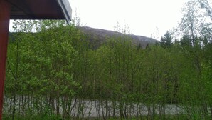 A view of a river with dense greenery and a hill in the background. - Holandsvika Bomiljø (Vefsn)