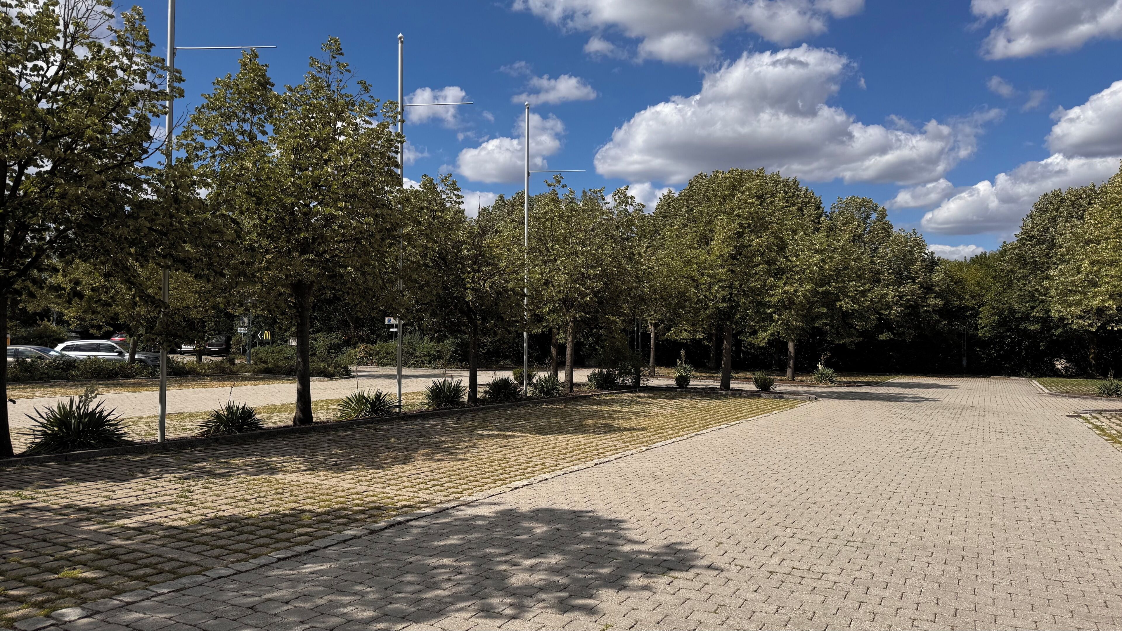 Un sendero pavimentado con árboles y un letrero de McDonald's al fondo.