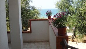 Trilocale Superior | Balcony