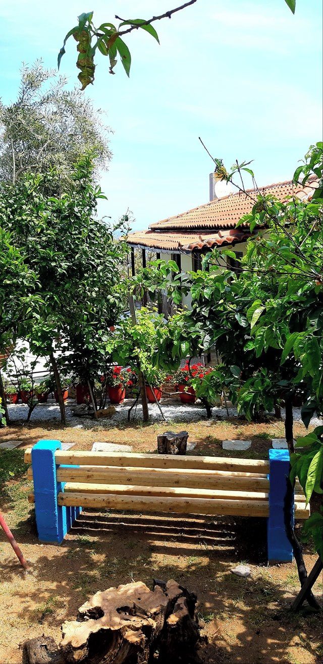 Un banco de madera con soportes azules en un jardín con árboles y un edificio al fondo.
