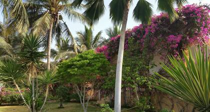 La bougain Villa