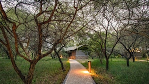 A paved pathway leading to a building surrounded by trees. - Vuyani Safari Lodge (Hoedspruit)