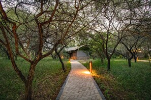 Deluxe Tent ( Separate Property,Little Africa Safari ) | Premium bedding, Select Comfort beds, minibar, in-room safe - Vuyani Safari Lodge (Hoedspruit)