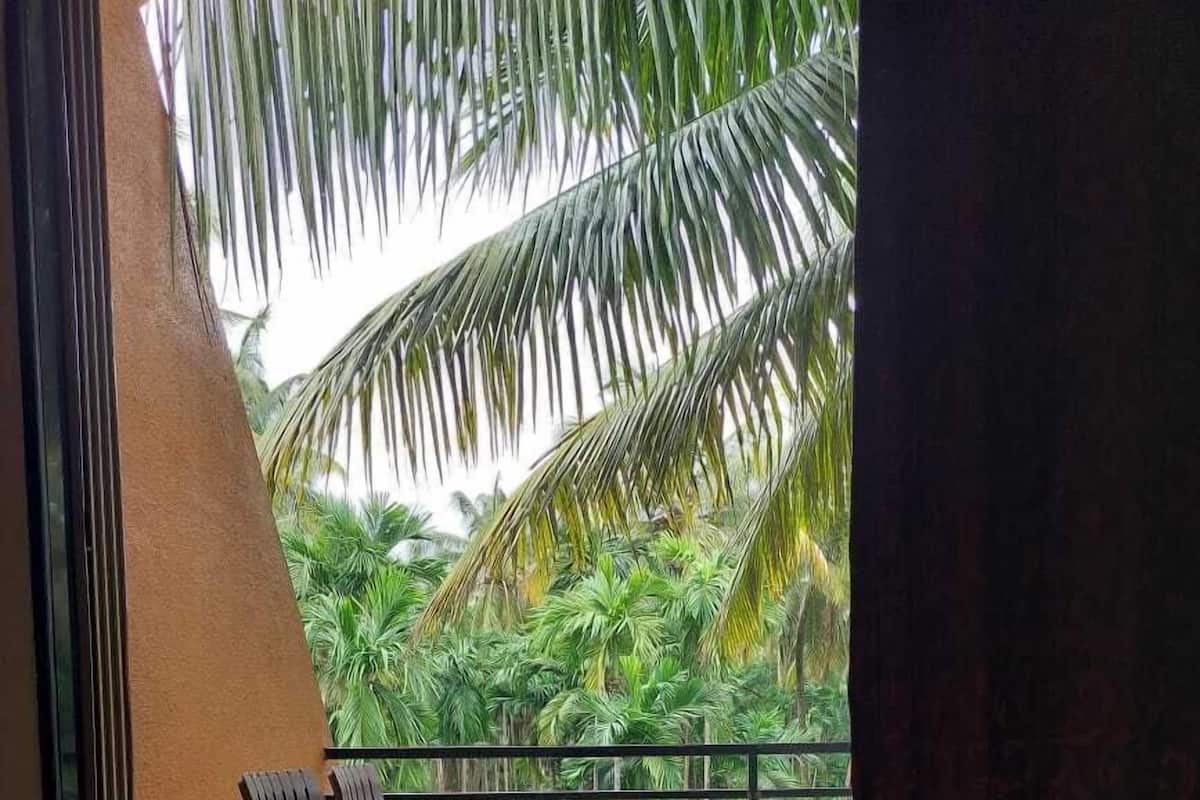 A balcony with a view of lush greenery and palm trees, furnished with wooden chairs and a table.