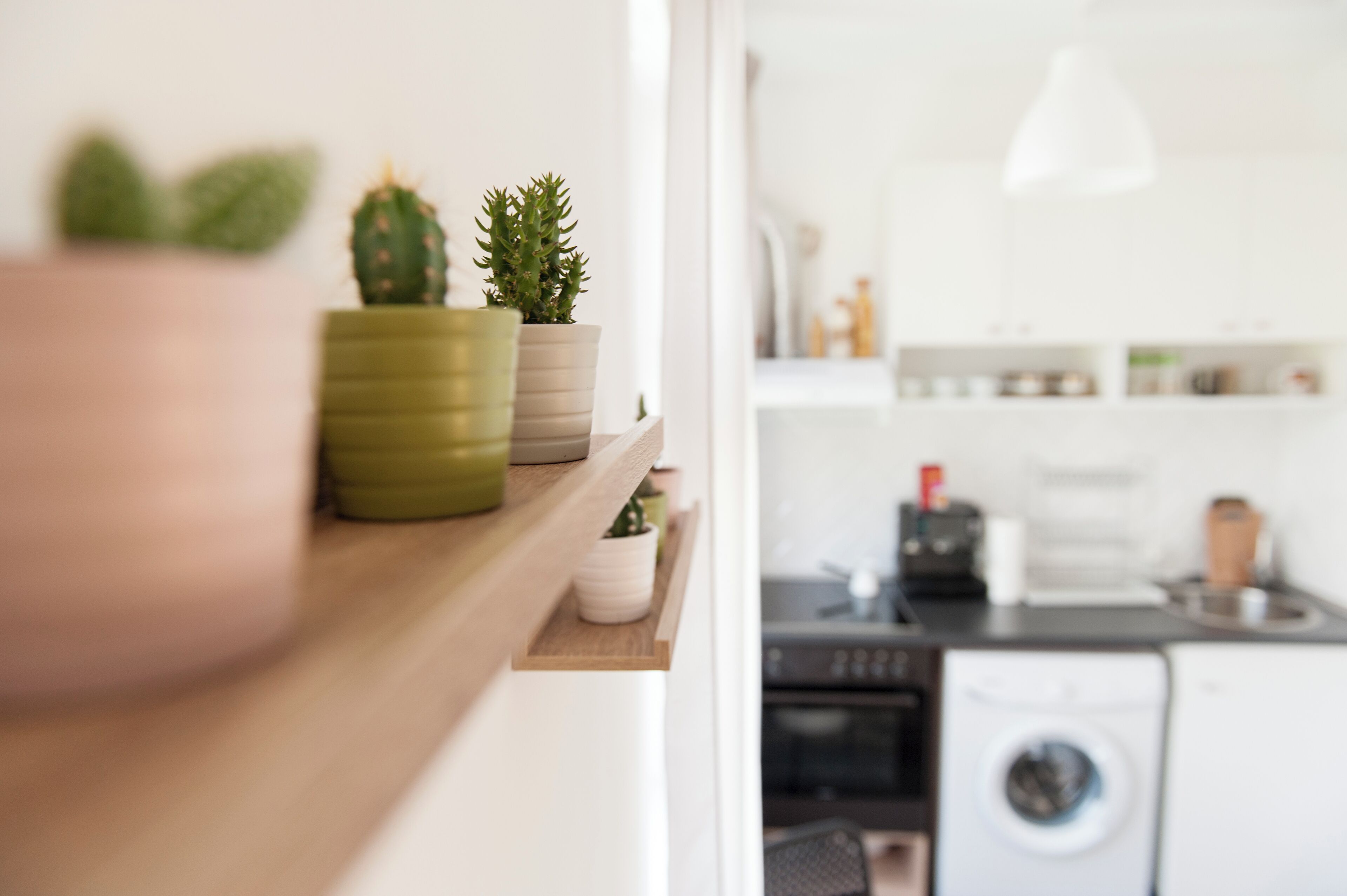 Réfrigérateur, four, plaque de cuisson, cafetière/bouilloire