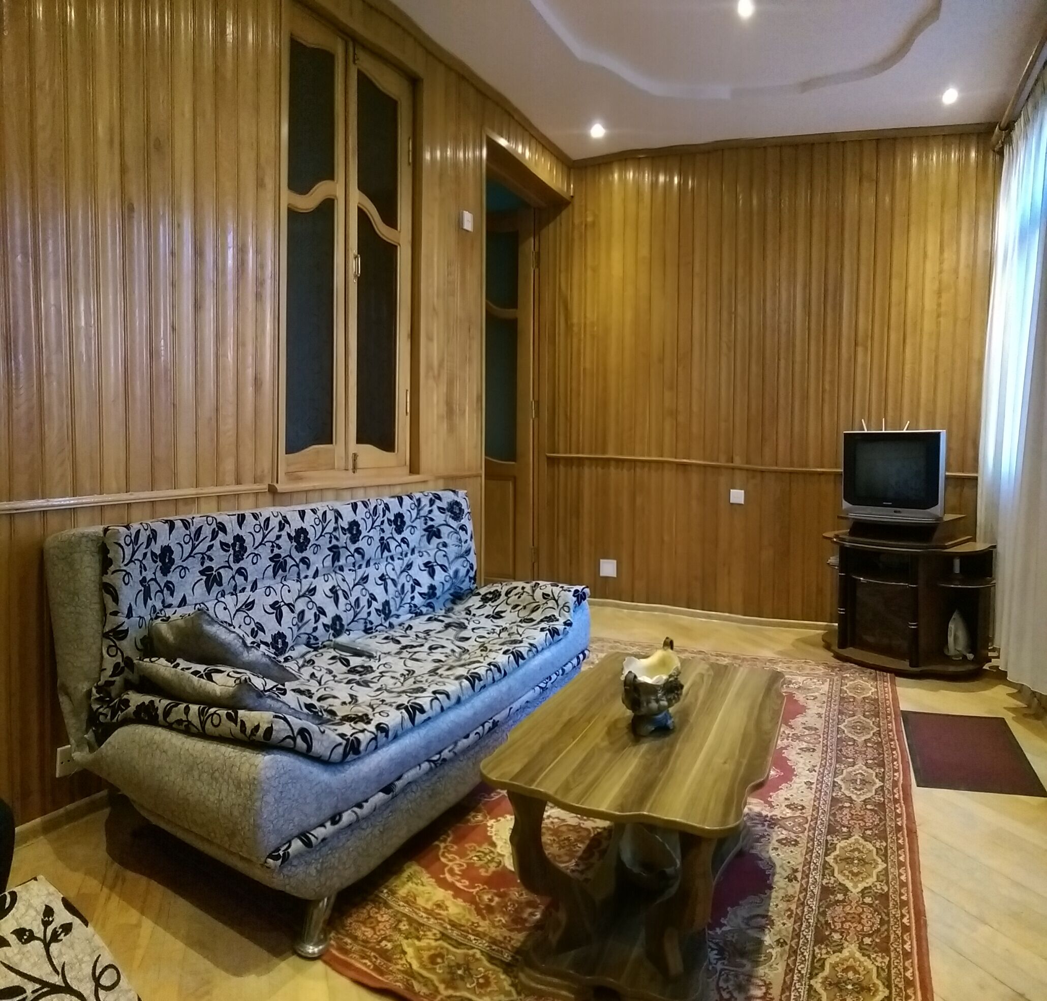 TV connectée, cheminée, livres, vidéothèque