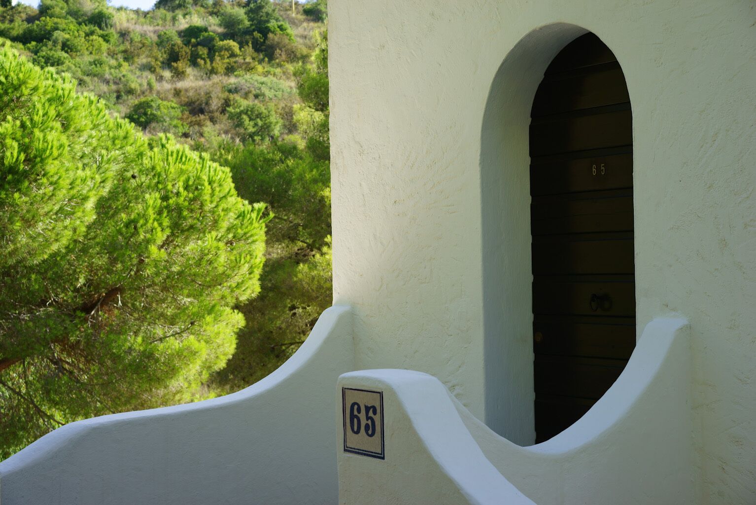 A building with a white exterior, a door marked with the number 65, and a view of green vegetation in the background.